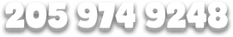 205 974 9248